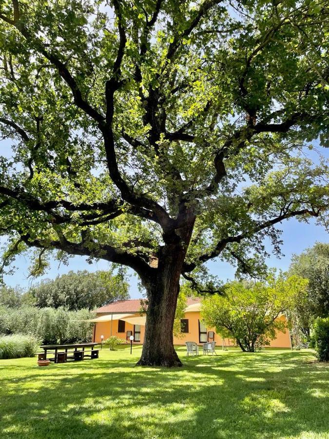 Agriturismo I Tre Fossi Magliano in Toscana Exterior photo