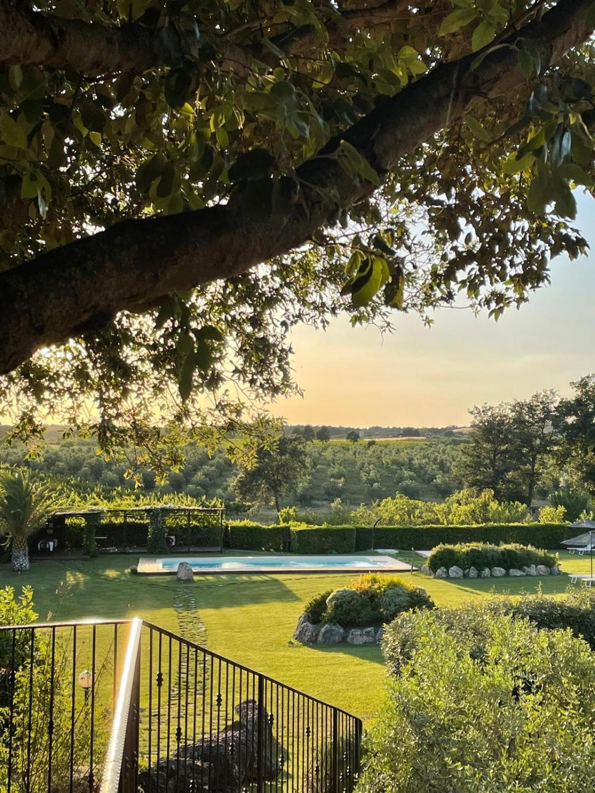 Agriturismo I Tre Fossi Magliano in Toscana Exterior photo