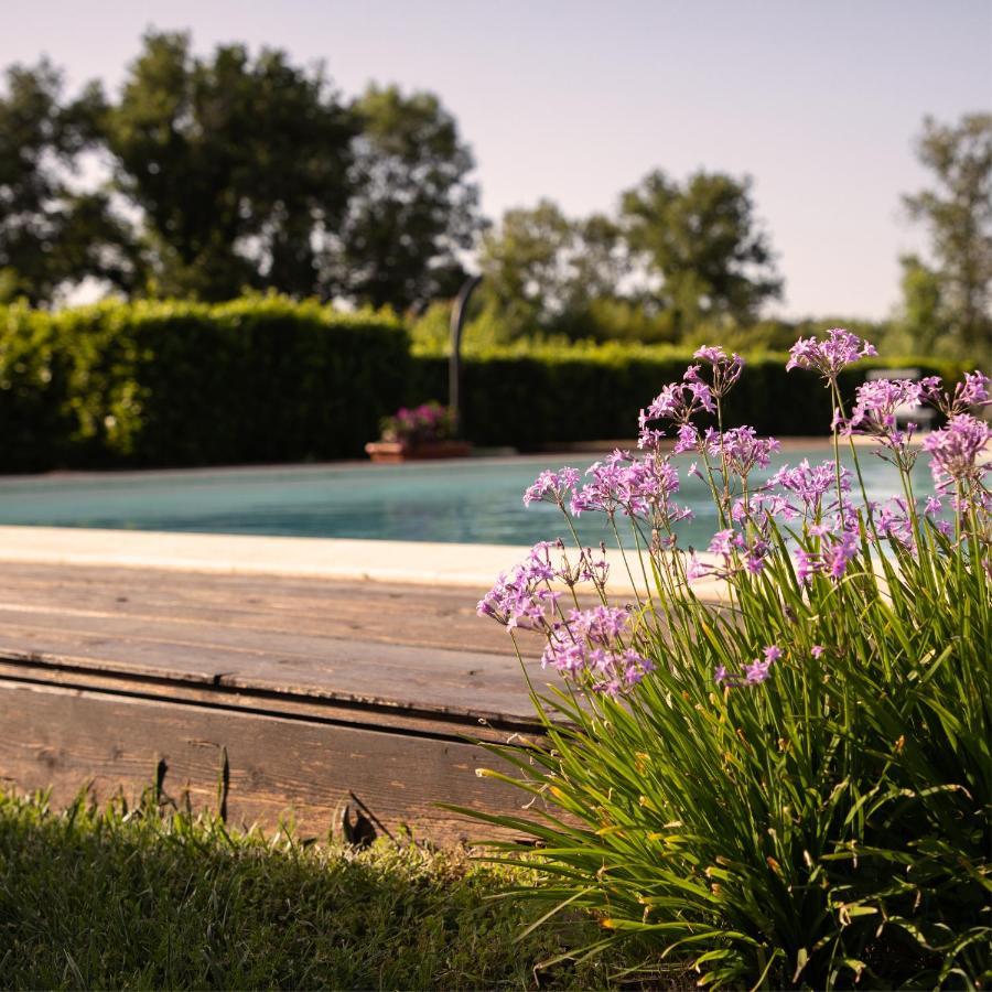 Agriturismo I Tre Fossi Magliano in Toscana Exterior photo